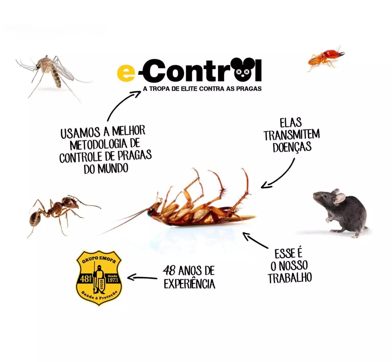 Metodologia e-Control contra pragas urbanas